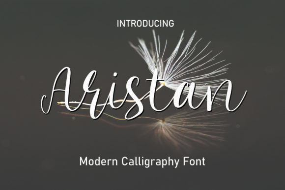 Aristan: A Romantic Script Font for Elegant Digital Branding