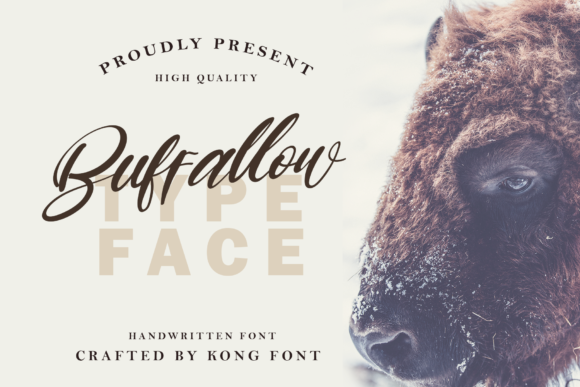 Buffallow: A Playful Script Font for Campaigns That Stick