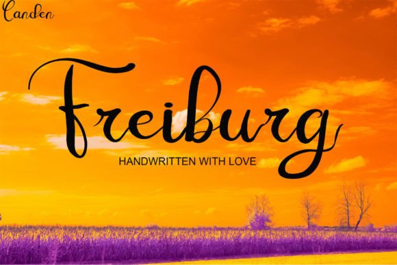 Freiburg Script Font for Scroll-Stopping Brand Content