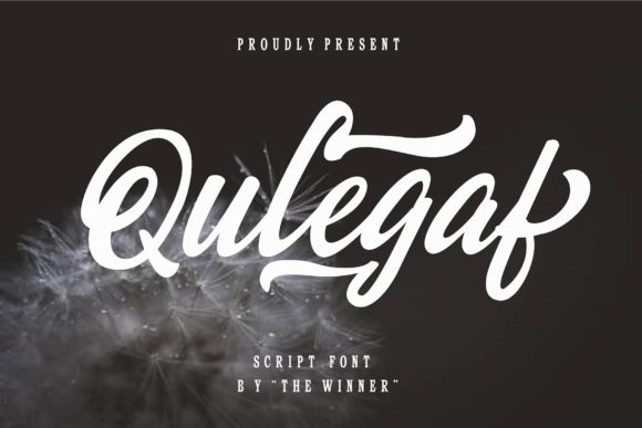 Qulegaf Script Font for Elegant Brand Identity Projects