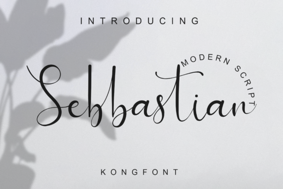 Sebbastian Font: A Playful Yet Sophisticated Script for Campaign Design