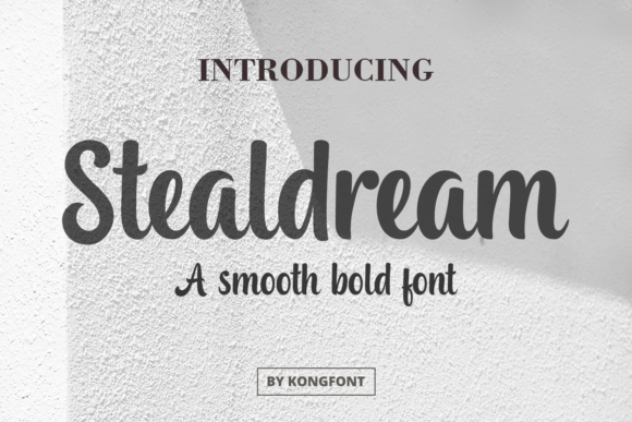 Stealdream Handwritten Script Font for Small Business Branding